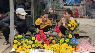 Bringing yellow chrysanthemums to the market to sell, customers compete to buy them. ( Ep 251 )