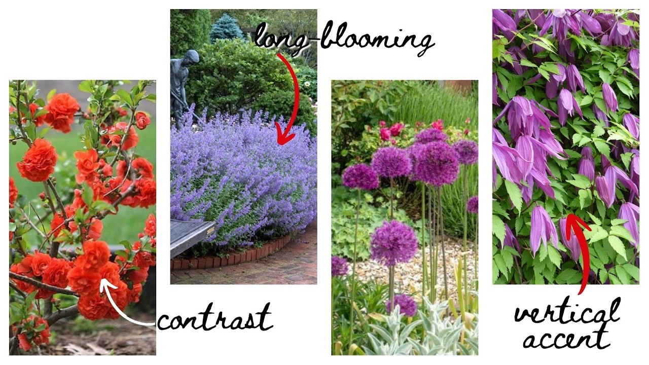 6 Plants = 1 Gorgeous Spring Garden Plan