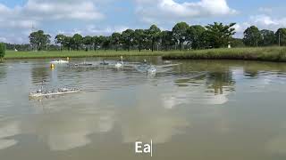 ANZAC Day Task Force 72 Commemorative Fleet Review 25Apr25<div class=vauth>Dave Manning</div>