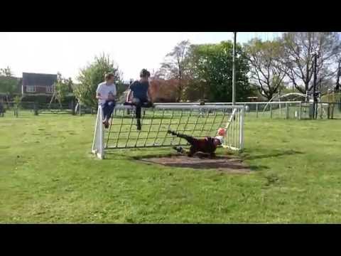 Dizzy Penalty Challenge - Redox