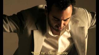 Dino DiNicolo - 