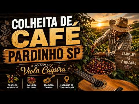 CAFÉ DE PARDINHO SP -- CUESTA PAULISTA