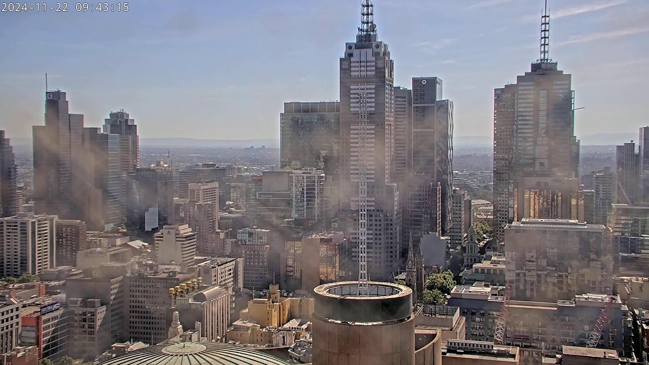 367 Collins Falcons 2024 - North facing