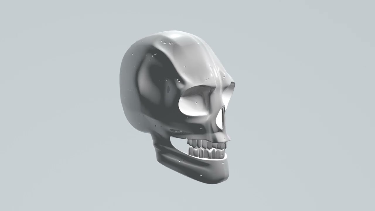 Scull 3D Model