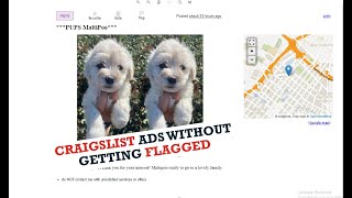 How to Post on Craigslist Ads Without Getting Flagged 2023 - { Puppies Ads }