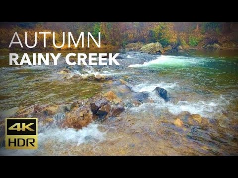 Autumn Rain Creekside In The Pacific Northwest Mountains| Shot in 4K HDR with Natural Location Sound