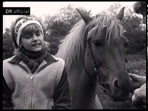 Darina Rolincová - Pieseň o kamarátstve (videoklip) 1984