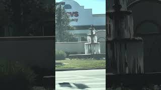 Here is something you don’t see very much in Florida #frozen #florida #ice