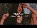 O Ore Raja ️ Slowed Reverb Song Lofibeats