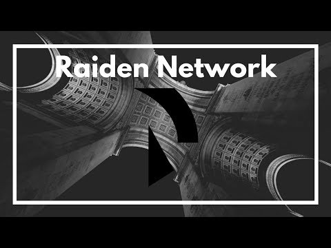 Raiden Network - Top Coin Overview