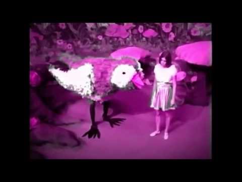 Slug Salt Lava ~ Cult (fan video)