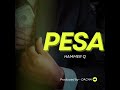 Hammer Q Pesa