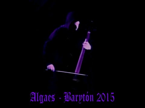 Algaes - Algaes - live 2015