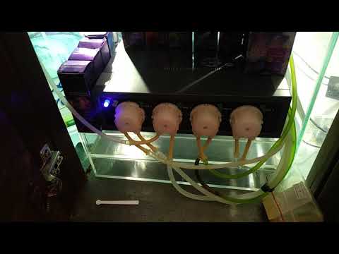 Akwarium morskie 577 l - bez sumpa i podmian. Leci 15 miesiąc. Dodatkowo setup.