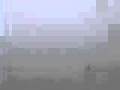 Pelican Song In The Fog On Redbird Creek Georgia