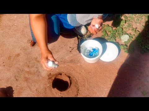 Abordaje Preventivo del Dengue: Priorizando la Eliminación de Criaderos y la Colaboración Institucional