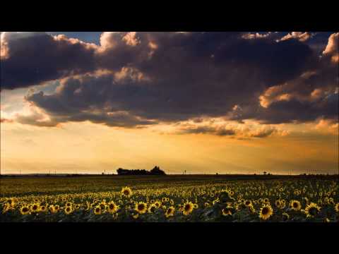 Autoerotique & Felix Cartal vs S.V.D vs S.H.M - The Joyenergizer One Alarm (Drop Department Mashup)