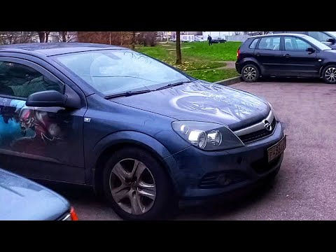 Walking around the city. A lot of cars. Ladies with dogs. Streets of Kaliningrad. Russia
