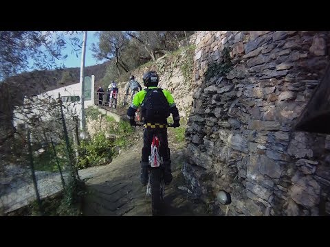 02 trasferimento trial mula focaccia 120114