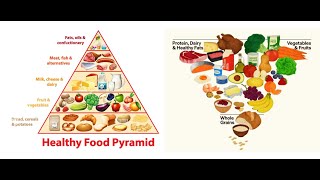 Az USA megfordította az "Ételpiramist"- Food pyramid upside down
