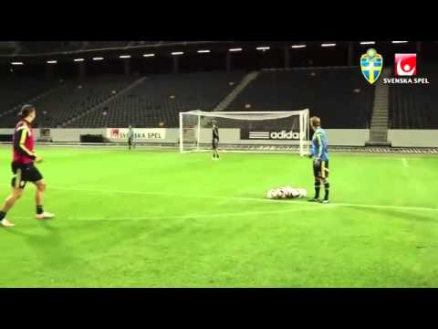 Zlatan Ibrahimovic amazing shot