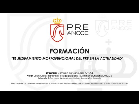 El juzgamiento morfofuncional del PRE en la actualidad