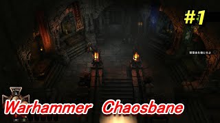 【Warhammer  Chaosbane #1】新たなデァブロライクハクスラを初見プレイ！ケイオスベイン