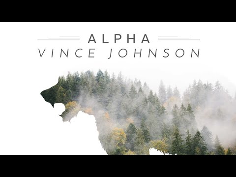 Дикая природаHD бурый медведь Vince Johnson – Alpha #Trapmusic #NoCopyright