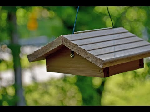 Wild Bird Center's Upside Down Suet Feeder