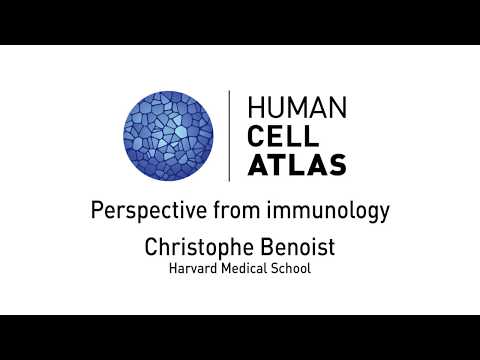 Christophe Benoist, Perspective from immunology