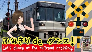 踏切動画 【踏切ダンス】熊本電鉄の電鈴式踏切でダンス《縦動画#3》[Let's dance to the rhythm of the railroad crossing]