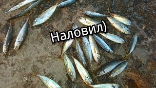 Снасть на ставридку черное море
