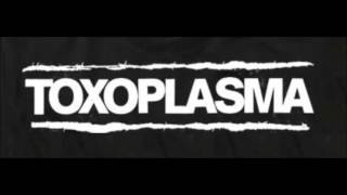 Toxoplasma  -  Pass Dich An