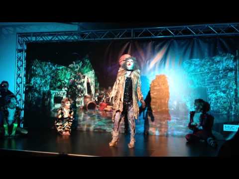 Cats Wien "Erinnerung"