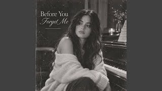 Before You Forget Me