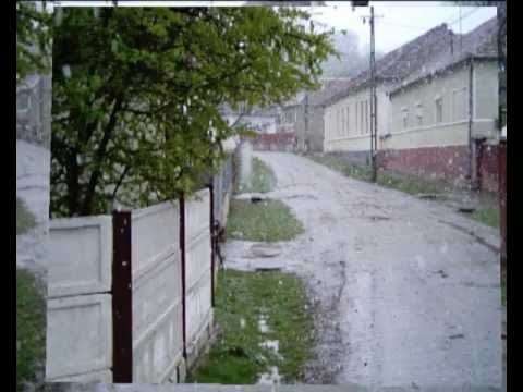 Feisa - Partea 1.avi