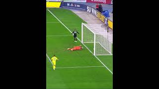 0IQ Own Goals😂🔥