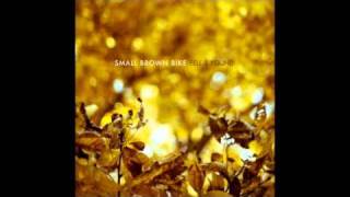 Small Brown Bike - Just Bones
