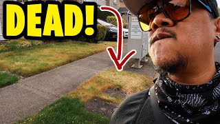 Helping Neighbors and now their lawns are DEAD!