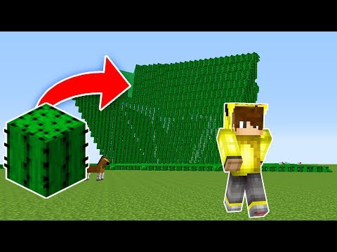 KAKTÜS TUSUNAMİ VS EV #4 - Minecraft