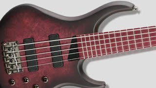 Video thumbnail for MTD Andrew Gouche Signature AG-5 - What Does it Sound Like? by Deadbeat Studios