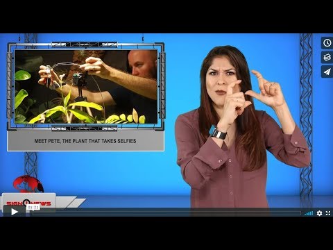 Meet Pete, the plant that takes selfies (ASL - 10.16.19)