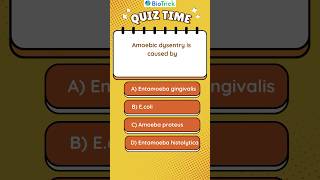 Protozoan | Kingdom Protista | Biological Classification | Class 11 Biology #neetbiologymcqs