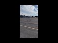 Seagull Feeding Outside The Cineplex Theater