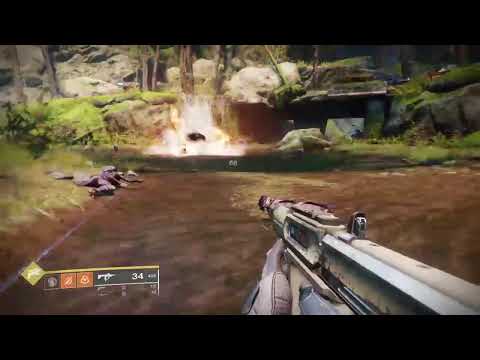 Going Back To My Roots