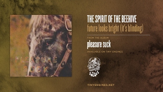 The Spirit of the Beehive - future looks bright (it's blinding)