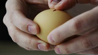 Physical and Chemical Changes