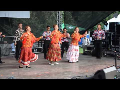 Cigánsky Bašavel 2013 - Romafest (RO)