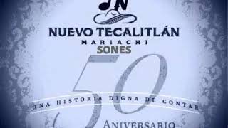 MARIACHI NUEVO TECALITLAN - EL SON DE LA NEGRA