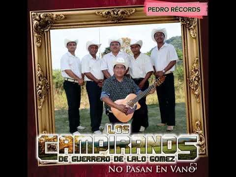 Los Campiranos de Lalo Gómez : La Cachetada En vivo Desde Tlapa de Comonfort